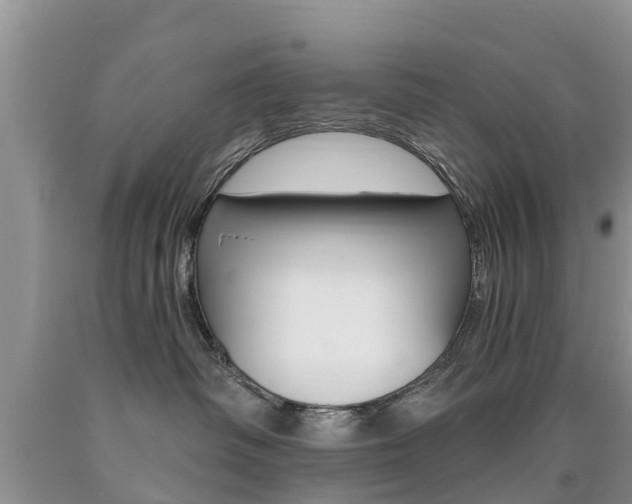X0000090710334200707200957