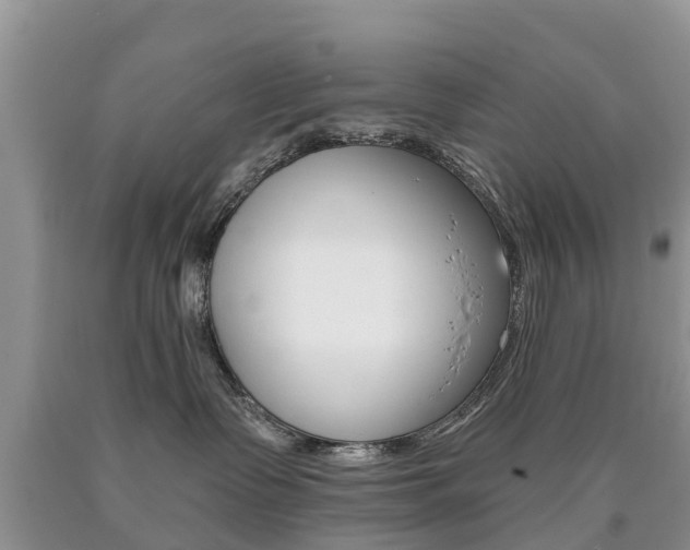 X0000090710335200707200957