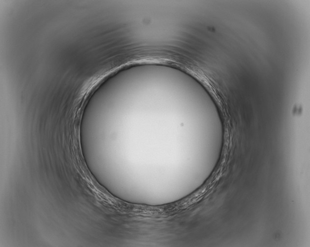 X0000090710337200707200956