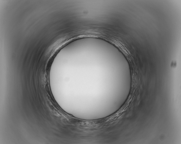 X0000090710338200707200956
