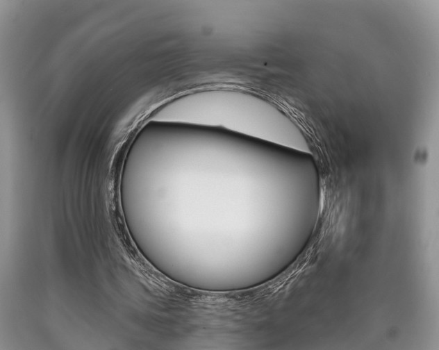 X0000090710339200707200956