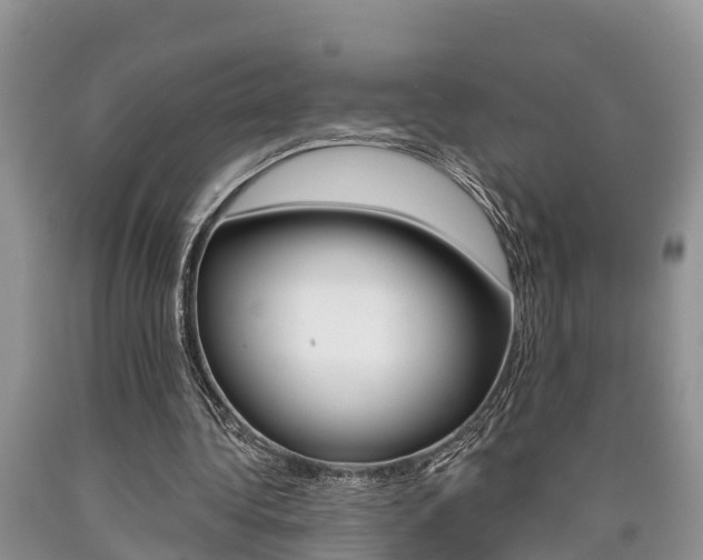 X0000090710340200707200956