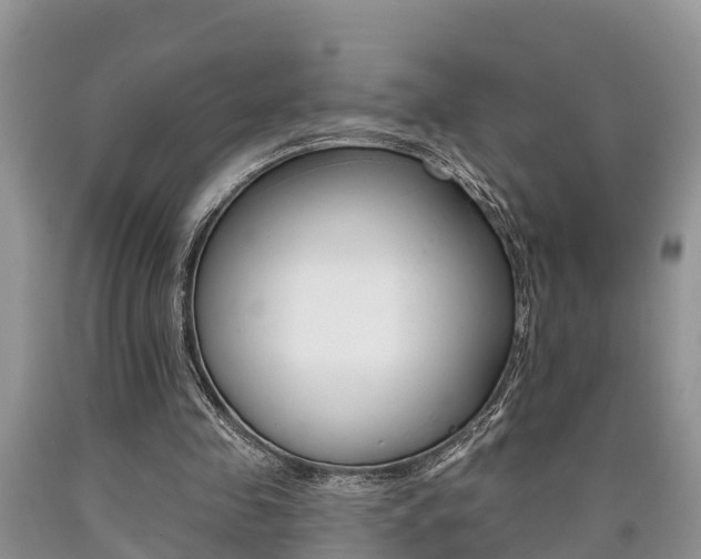 X0000090710341200707200956