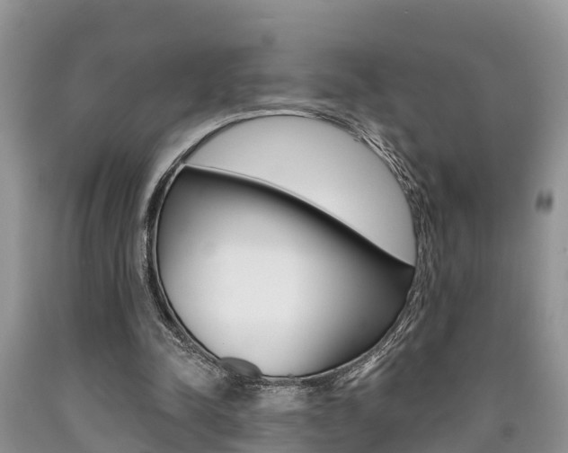 X0000090710342200707200956