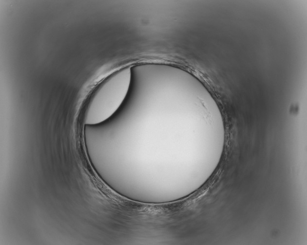 X0000090710343200707200956