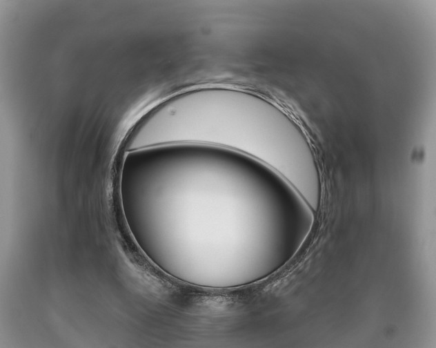 X0000090710344200707200956