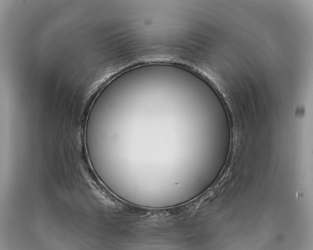 X0000090710345200707200956