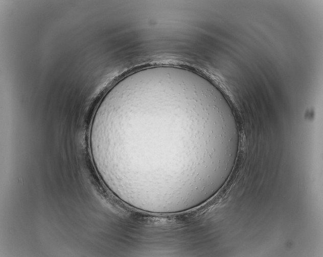 X0000090710347200707200956