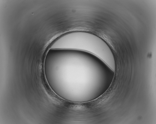 X0000090710348200707200956