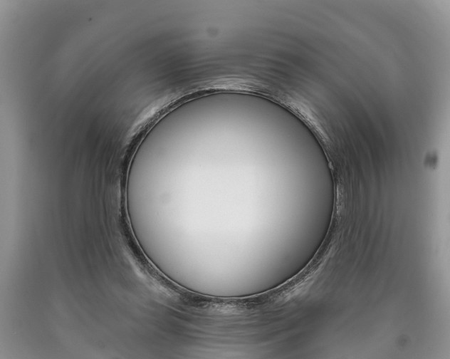 X0000090710349200707200956