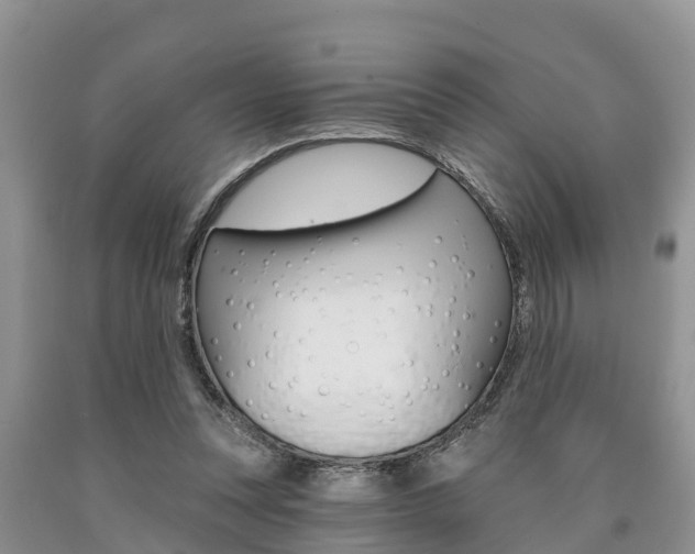X0000090710351200707200956