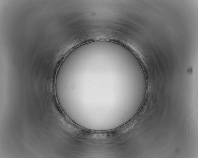 X0000090710353200707200956
