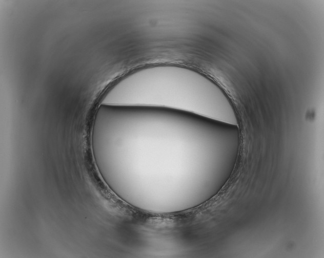 X0000090710354200707200956