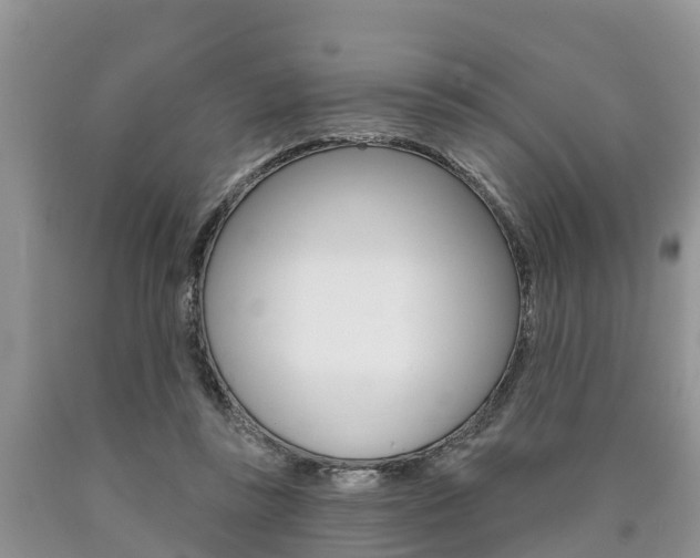 X0000090710355200707200956