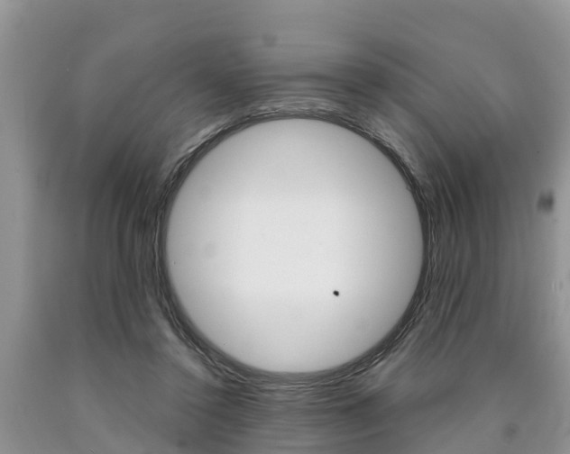 X0000090710356200707200956