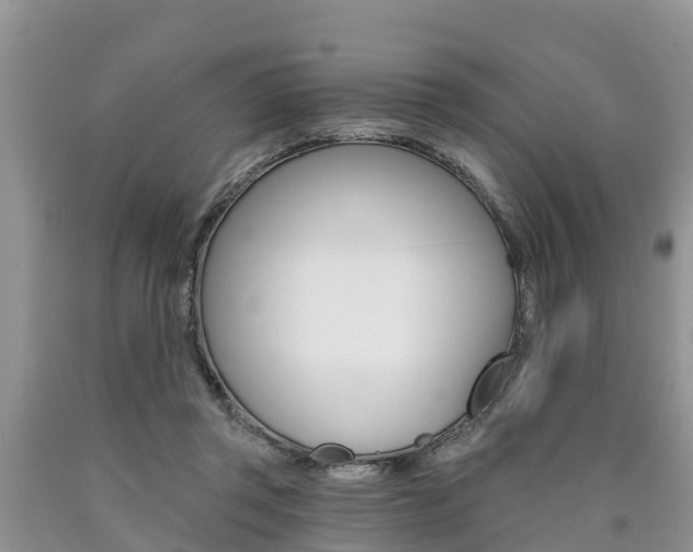 X0000090710357200707200956