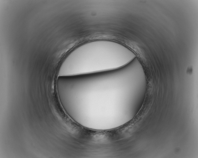 X0000090710358200707200956
