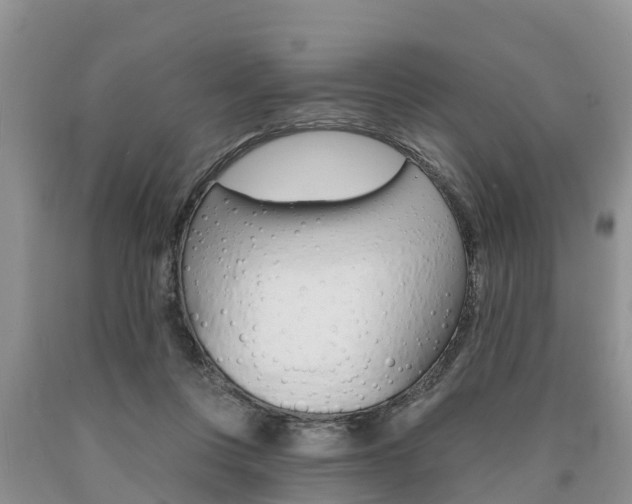 X0000090710359200707200956