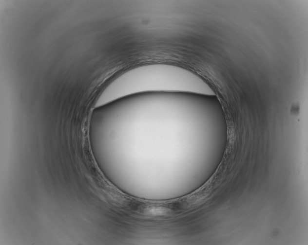 X0000090710360200707200956