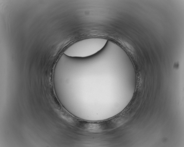 X0000090710361200707200956
