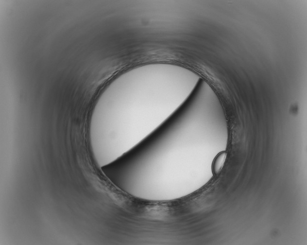X0000090710362200707200956