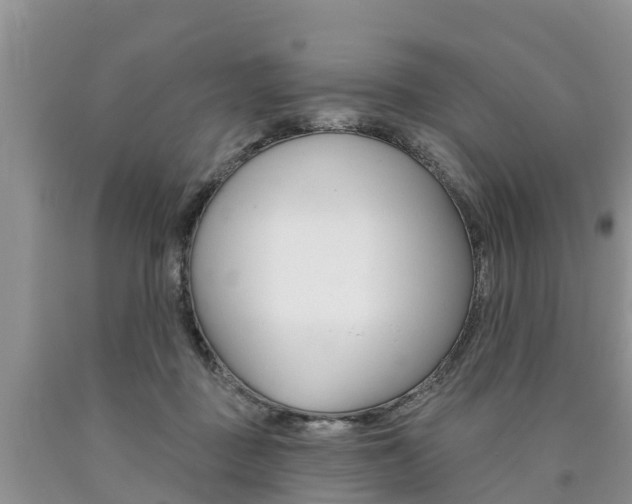 X0000090710363200707200956