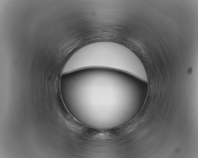 X0000090710364200707200956