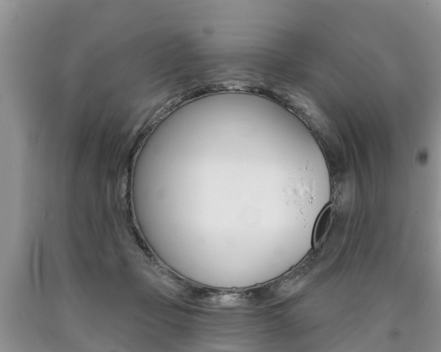 X0000090710365200707200956