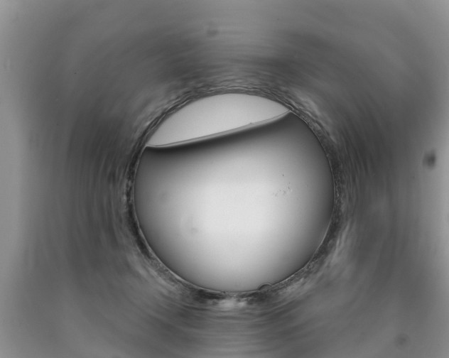 X0000090710366200707200956