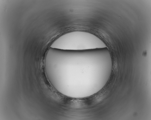 X0000090710367200707200956