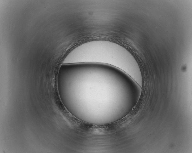 X0000090710368200707200956