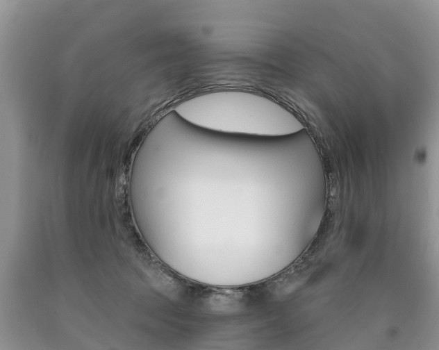 X0000090710369200707200956