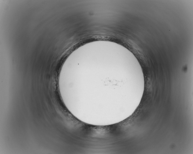 X0000090710370200707200956