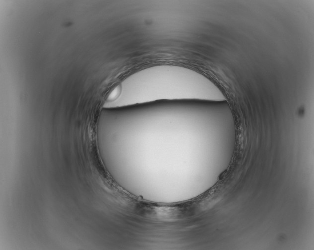 X0000090710371200707200956
