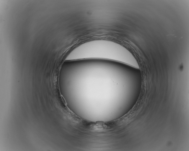 X0000090710372200707200956