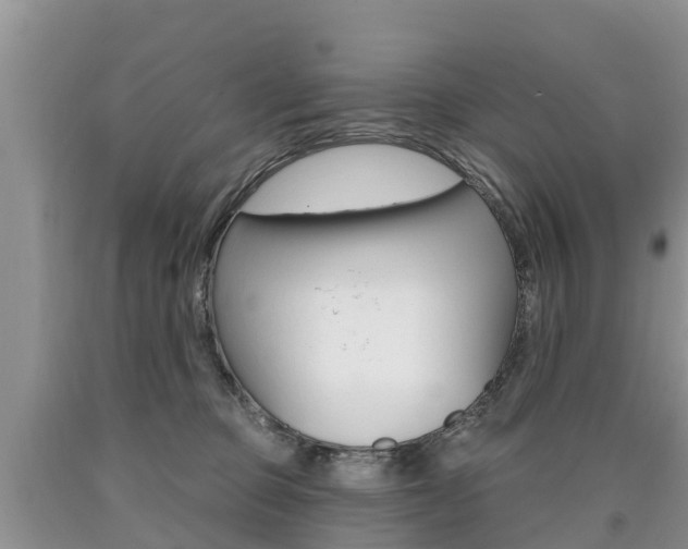 X0000090710373200707200956