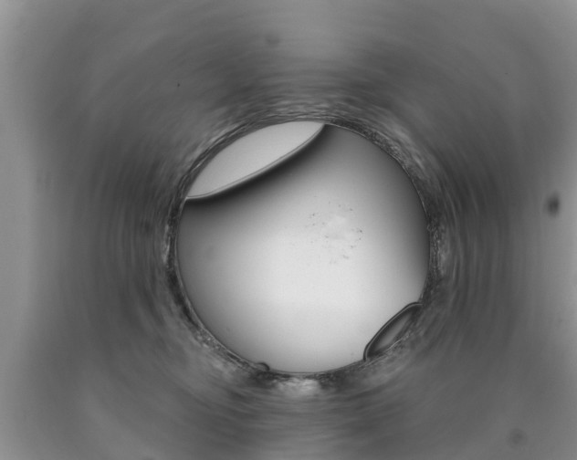 X0000090710374200707200956