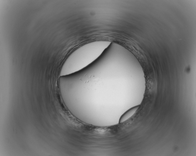 X0000090710375200707200956