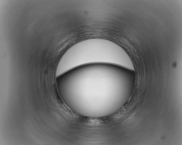 X0000090710376200707200956