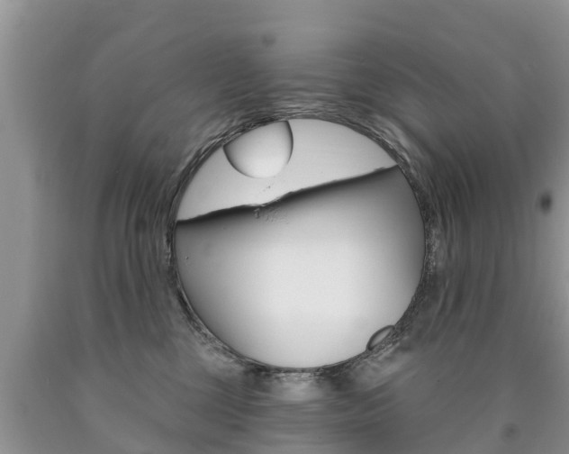 X0000090710377200707200956