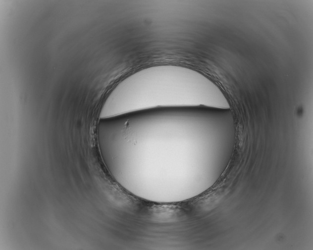 X0000090710378200707200957