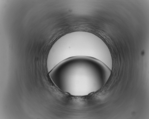 X0000090710380200707200957