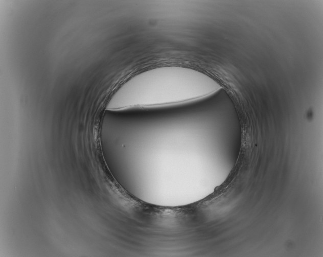 X0000090710382200707200957
