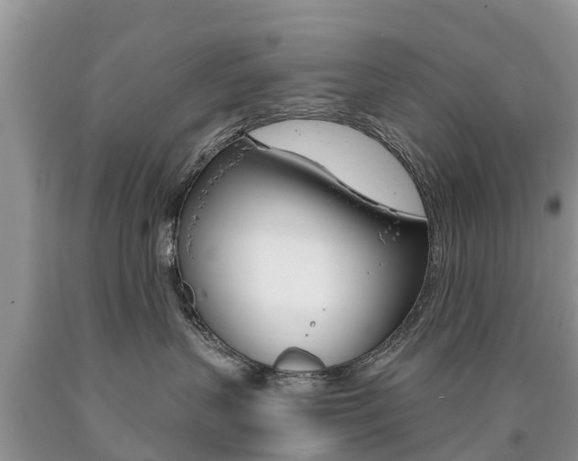 X0000090710383200707200957