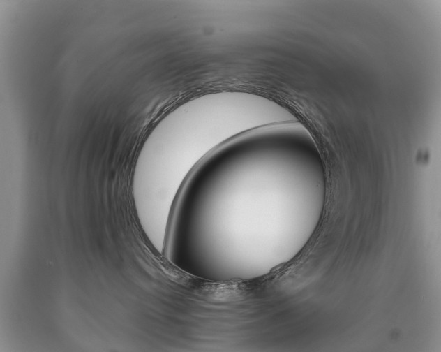 X0000090710384200707200957