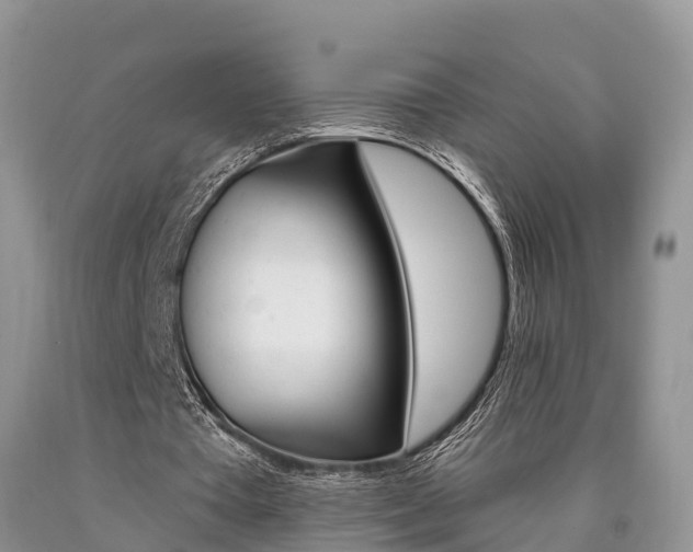 X0000090710385200707200956