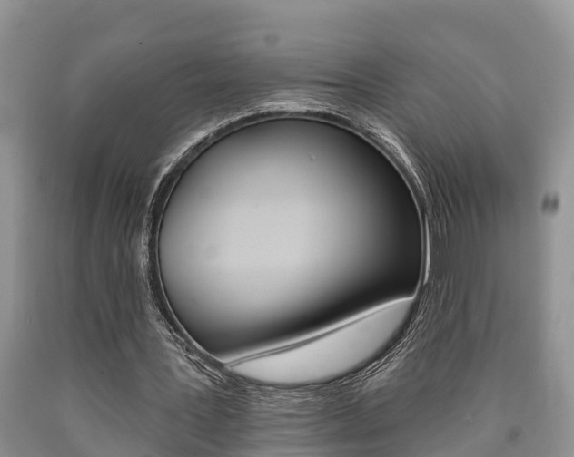 X0000090710387200707200956