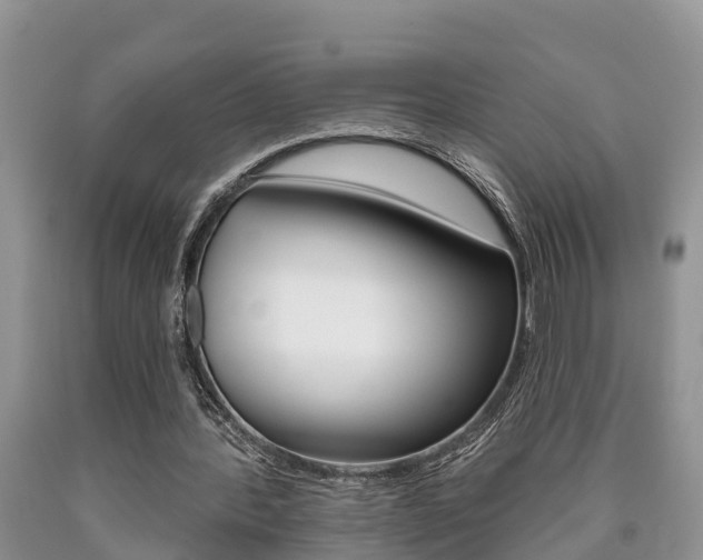 X0000090710388200707200956