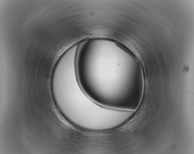 X0000090710389200707200956