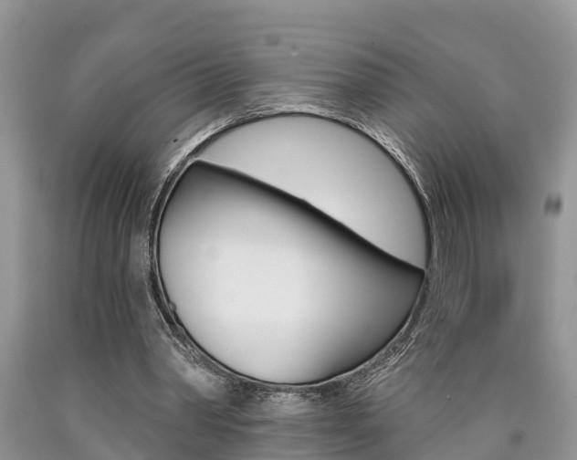 X0000090710390200707200956